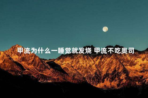 甲流为什么一睡觉就发烧 甲流不吃奥司他韦可以自愈吗